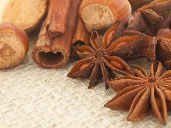 Anise, cinnamon and nuts — Stock Photo, Image