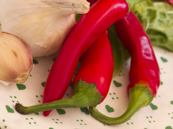 Garlic and peppers — Stock Photo, Image