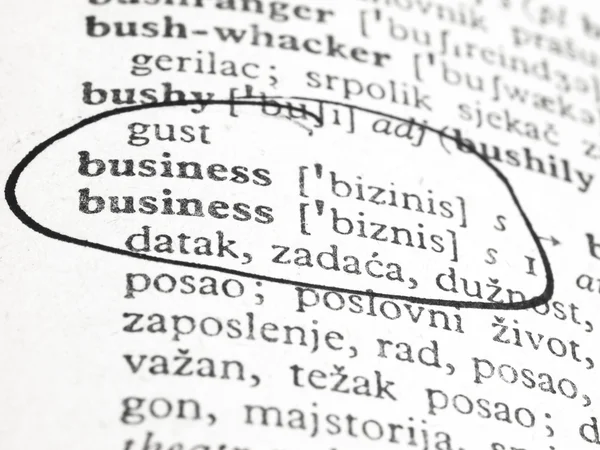 Word business in het woordenboek — Stockfoto