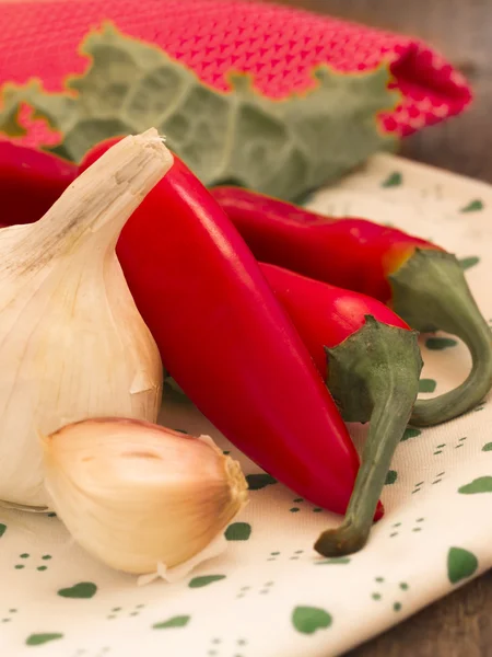 Chili papričky a česnek — Stock fotografie