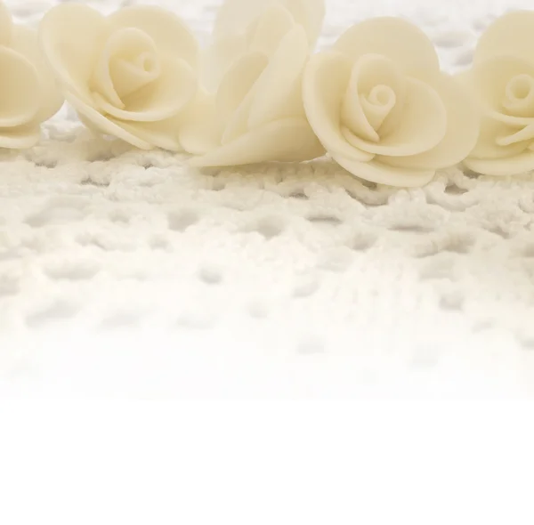 Фон белых роз — стоковое фото
