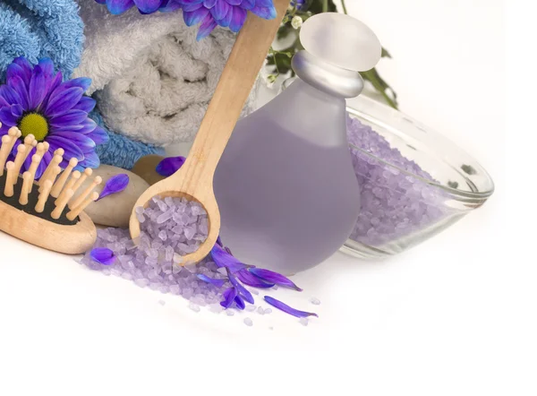 Фиолетовый шпа с местом для вашего текста — стоковое фото