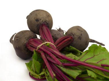 Beetroot clipart