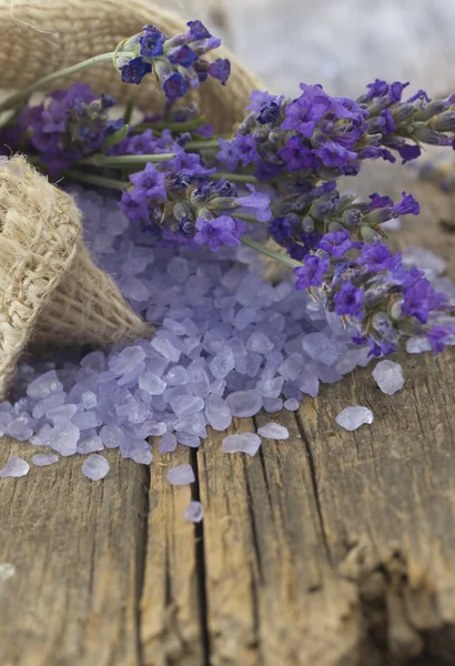 Lavendel regeling — Stockfoto