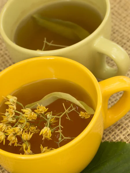 林登茶 — 图库照片
