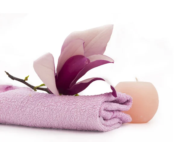 Spa arrangement with magnolia — Stock Photo, Image