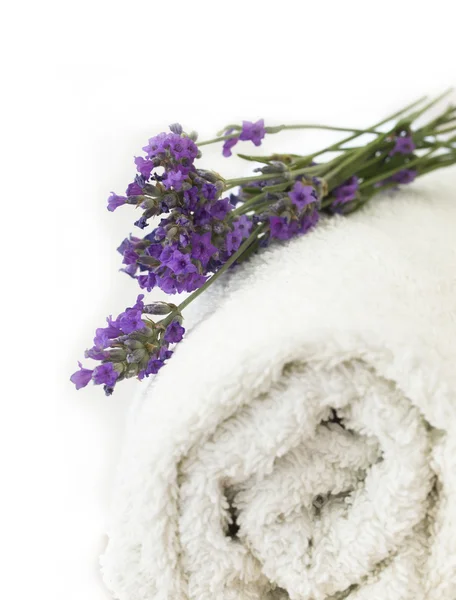 Lavender on the towel — Stock Photo, Image