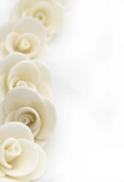 Weißer Hintergrund mit Rosen — Stockfoto
