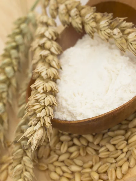 Мука с пшеницей — стоковое фото