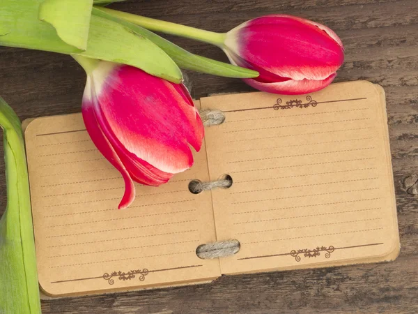 Vintage notebook with tulips — Stock Photo, Image