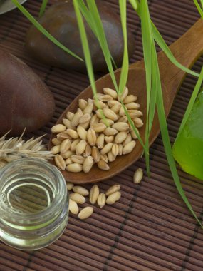 Buğday Kozmetikleri