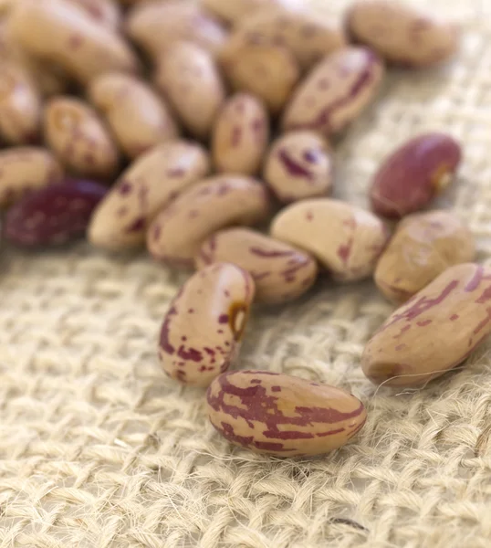 Beans — Stock Photo, Image