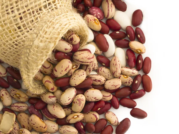 Kacang berwarna-warni, jenis diferen — Stok Foto