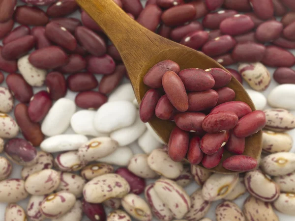 Červené fazole v vařečka — Stock fotografie