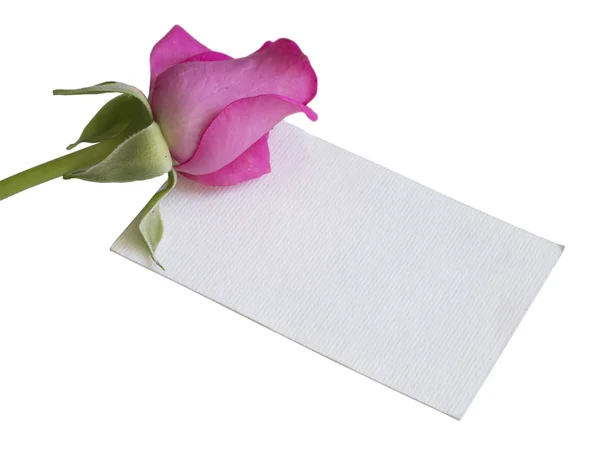 Note with the pink rose isolated on the white background — Stock Photo, Image