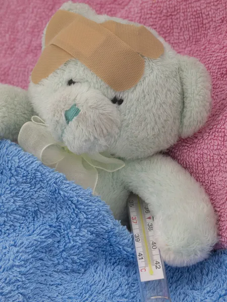 Enfermedad teddy — Foto de Stock