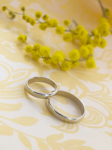 Wedding arrangement with mimosa flowers — Stock Photo, Image