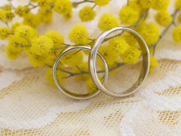 Ρύθμιση του γάμου με μιμόζα λουλούδια — Φωτογραφία Αρχείου