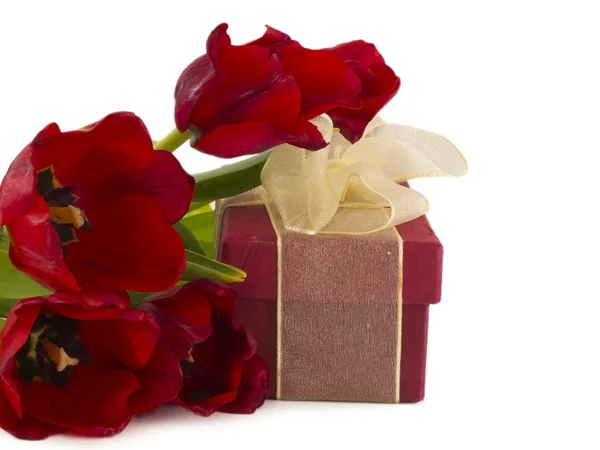 Lale ile kırmızı hediye kutusu — Stok fotoğraf