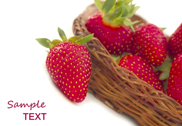 Strawberries with place for the text — Stock Photo, Image