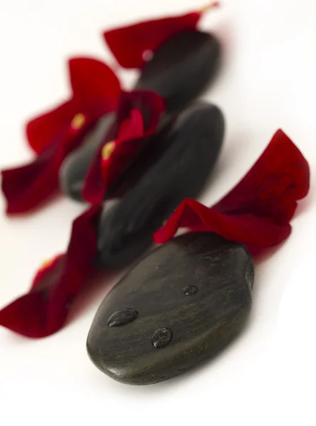 붉은 꽃잎과 스파 돌 — 스톡 사진