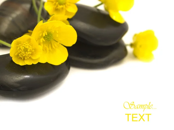 Piedras húmedas con flores amarillas —  Fotos de Stock