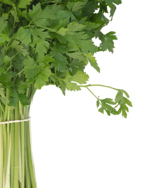 Fresh parsley leaves isolated — Stock Photo, Image