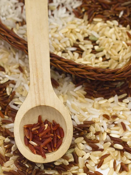 Mixture of rice — Stock Photo, Image