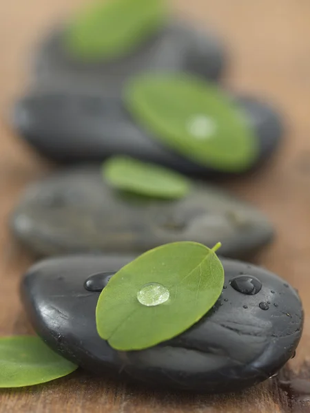 Pietre Zen con le foglie verdi — Foto Stock