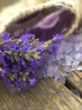 Lavender düzenleme