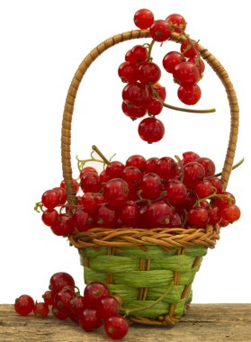 Red currants in the basket clipart