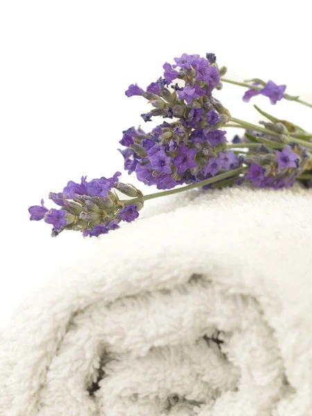 Lavender on the towel — Stock Photo, Image