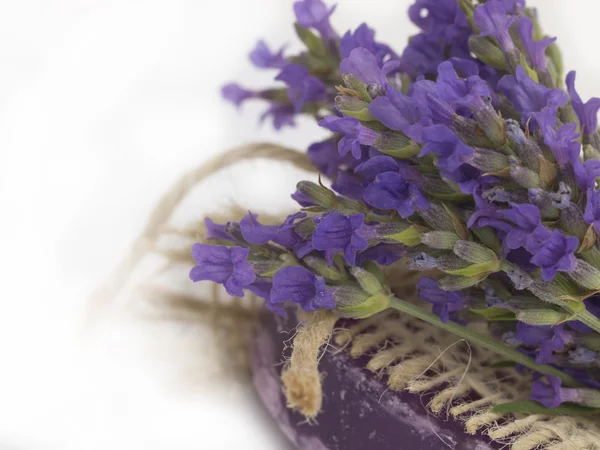Lavendel arrangemang — Stockfoto
