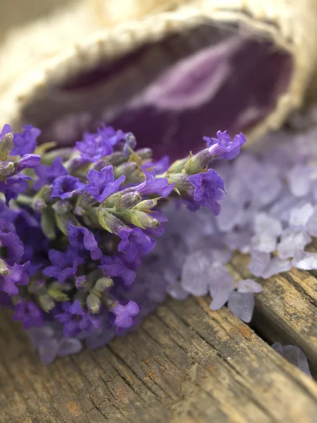 Lavender arrangement — Stock Photo, Image