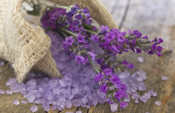 Lavendelarrangement — Stockfoto