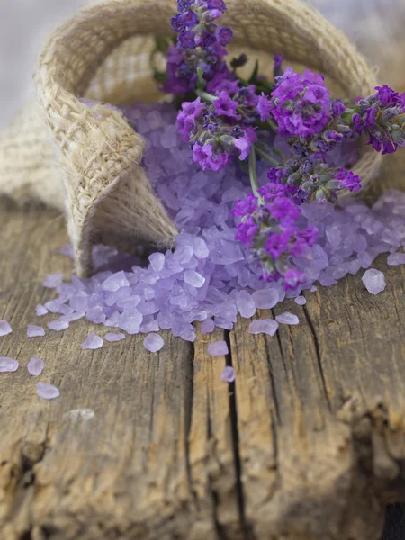 Lavendel regeling — Stockfoto