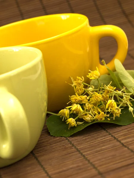 Two cups of linden tea — Stock Photo, Image