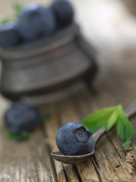 Blueberries in the ancient bowl — Stock Photo, Image