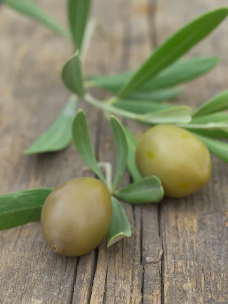 stock image Olives