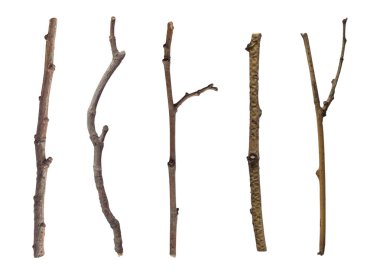 Collection of branches clipart