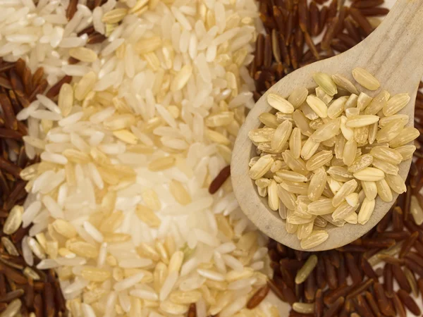 Three colors of rice — Stock Photo, Image