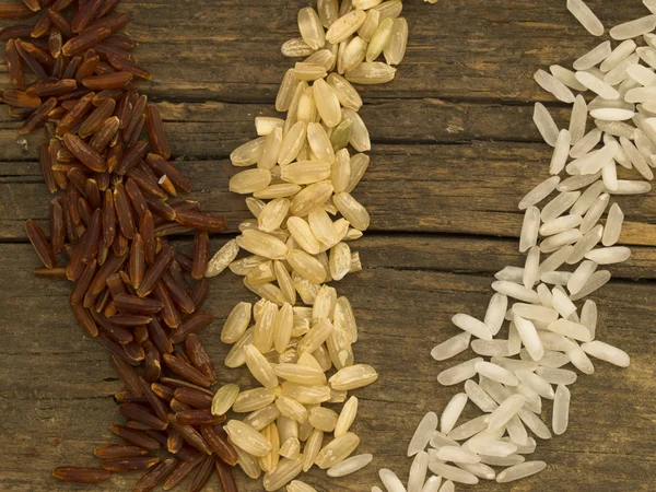 Tree types of rice — Stock Photo, Image