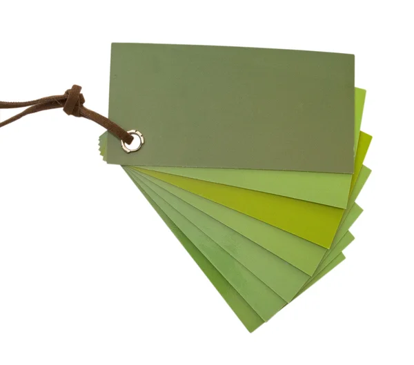 Green notebook on leather string — Stock Photo, Image