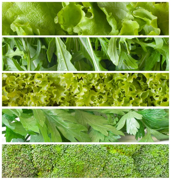 Saladas verdes frescas — Fotografia de Stock