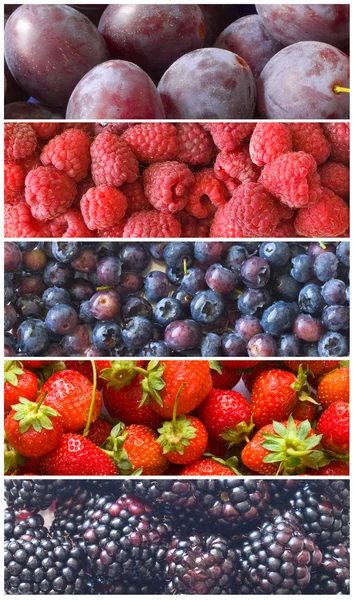 Fruits bleus et rouges frais et sains — Photo