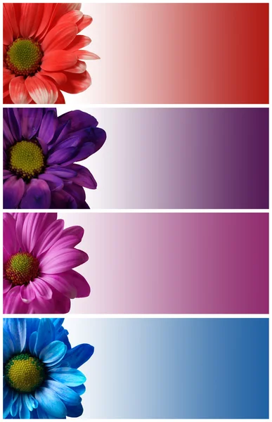 Blommig banners — Stockfoto