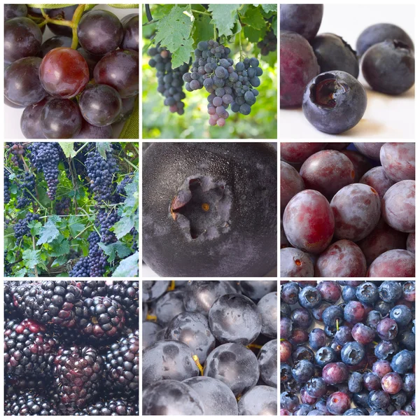 Collage van blauwe fruit — Stockfoto