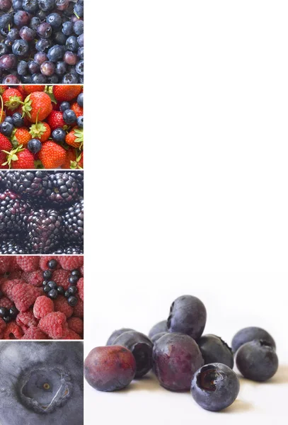 Červené a modré ovoce menu — Stock fotografie