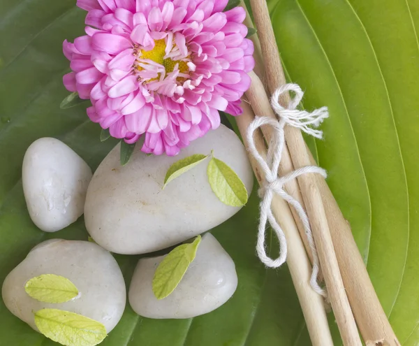 Spa stones, branches and flower on the big leaf — Stock Photo, Image