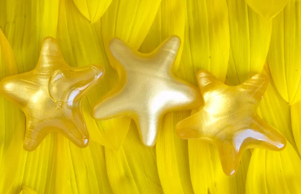 Çiçek yaprakları üzerinde yıldız — Stok fotoğraf